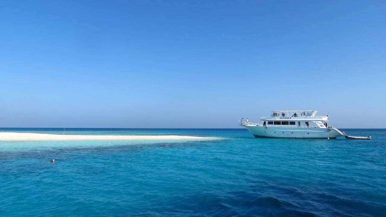 Yachts sail the seas