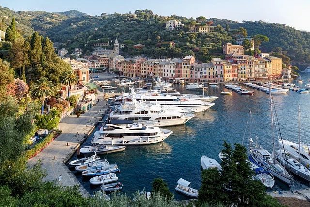 Yachts docked on shore