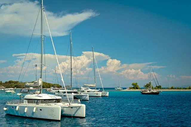 Yachts on the water